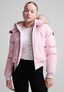 rose_209719