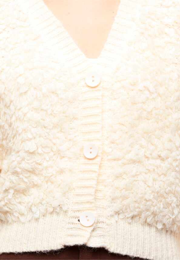 Short Hairy Jacket-4