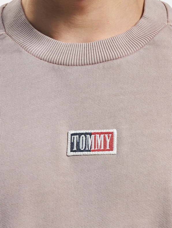 Tommy Jeans Skater Timeless Crew Sweater-4