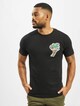 Flamingo Tee-2