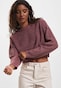 violet_72941