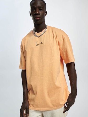 Small Signature Washed