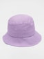 violet_45919