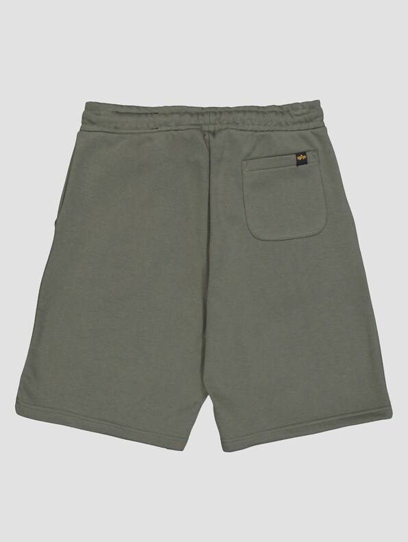 Alpha Industries Basic SL II Shorts-1