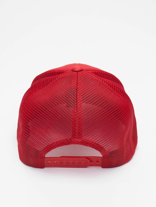 110 Mesh-1