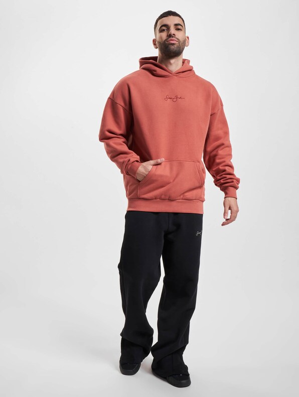 JM233-002-2 SJ Script Logo Backprint Peached Hoodie-6