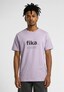 violet_169882