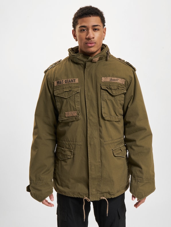 M65 Giant-2