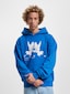 blue_21168