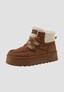 brown_187901
