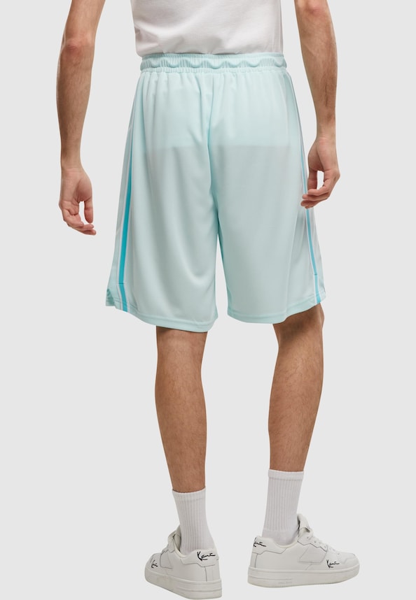 Signature Tape Mesh-1