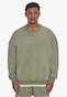 olive_152017