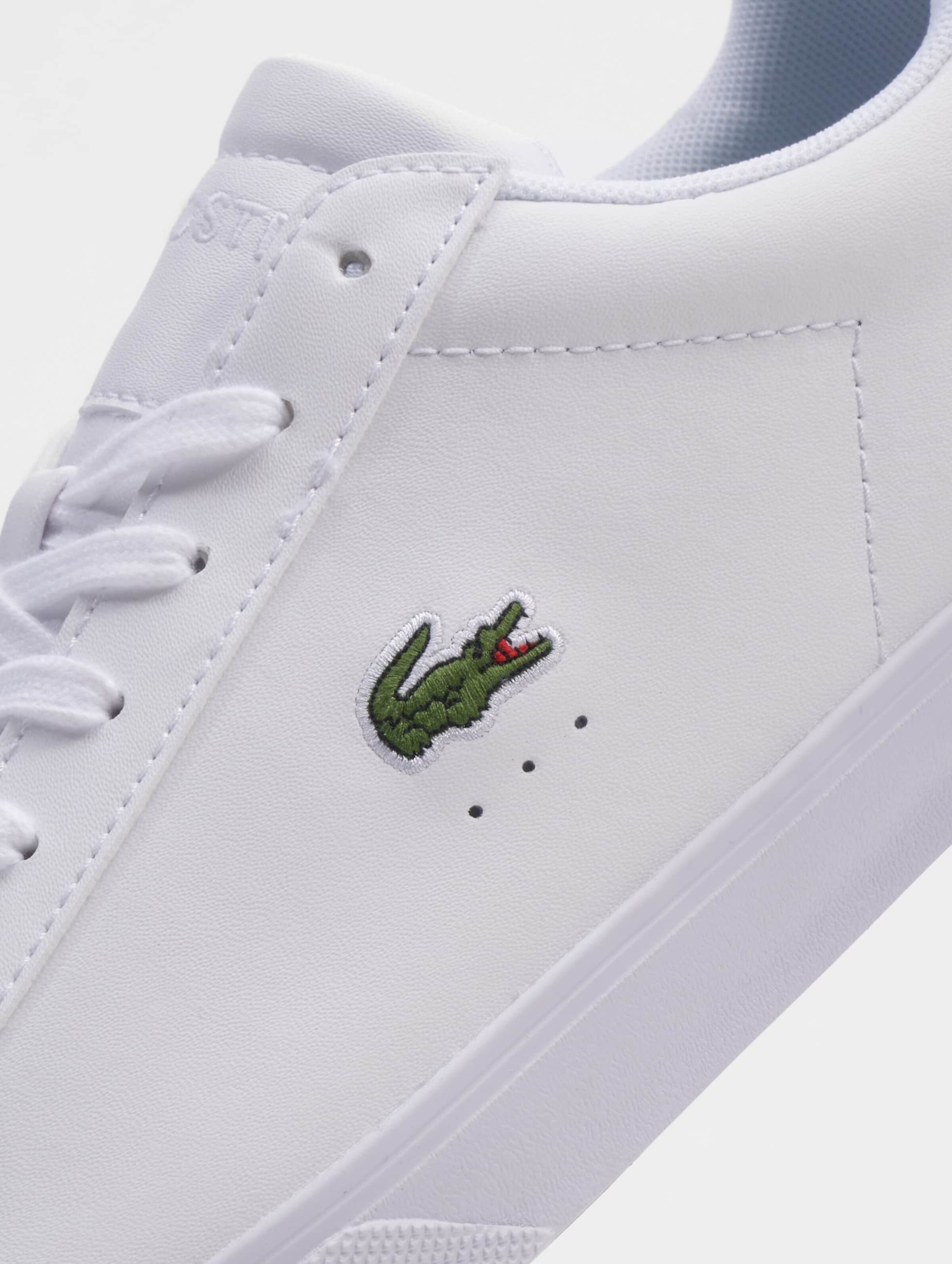 Lacoste hot sale lerond men