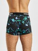 3-Pack-2