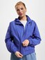 blue_6147