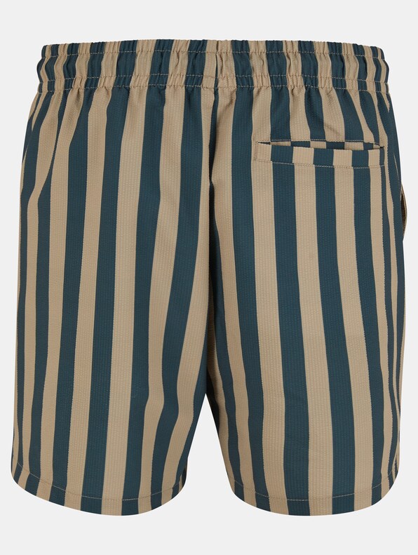 Striped Seersucker-5