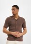 brown_124950