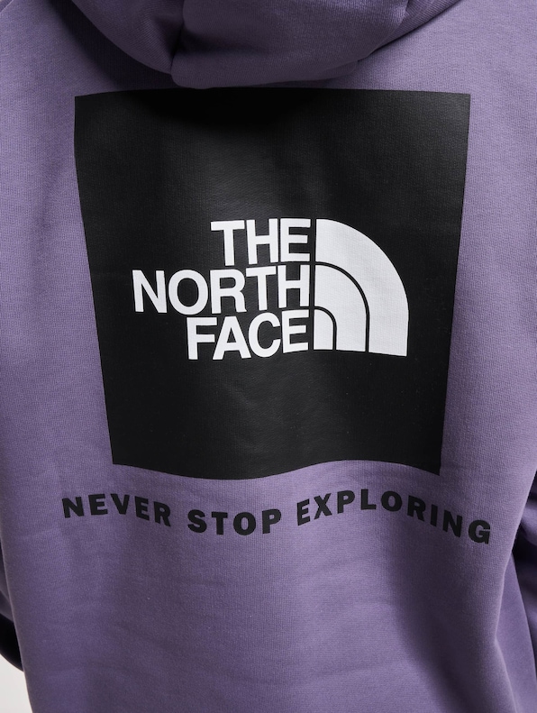 The North Face Raglan Redbox Hoodie-3