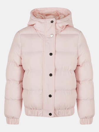 Hooded Puffer