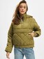 olive_5370