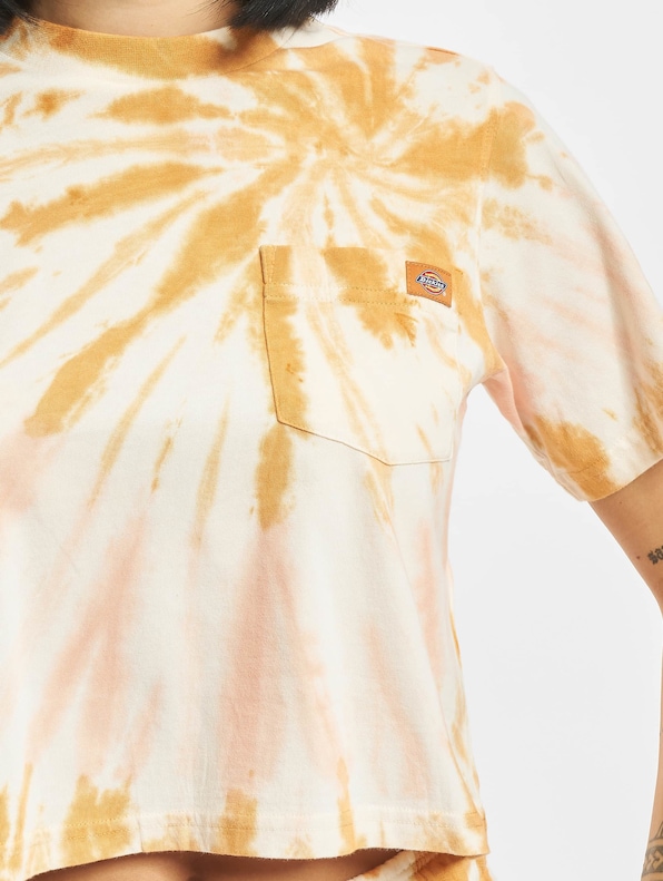 Dickies Seatac T-Shirt golden-3