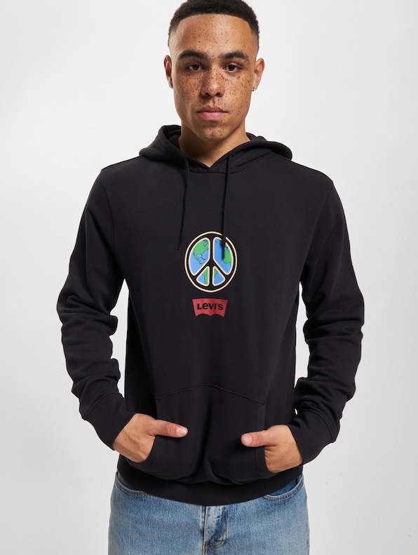 Levis T3 Graphic Hoodie-0