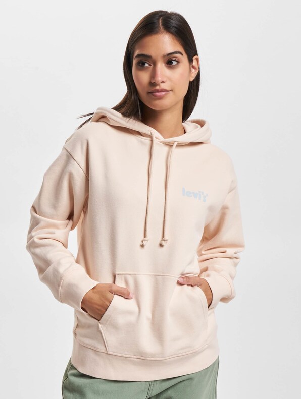 Levis Graphic Standard Hoodie-2