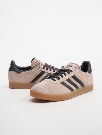 Gazelle 