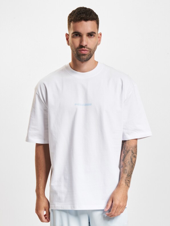 PEGADOR Colne Logo Oversized T-Shirts-2