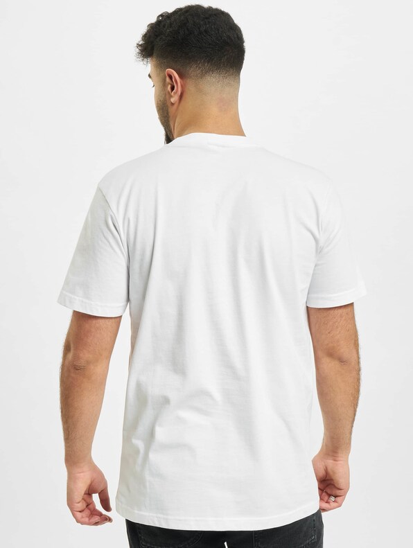 Organic Cotton Basic-1