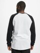 Raglan -1