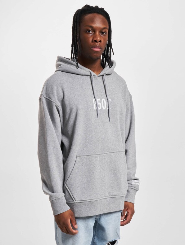 Levi's® Relaxed Graphic Hoody-2