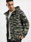 camouflage_8658