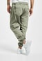 olive_32501