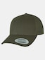 brown_149214