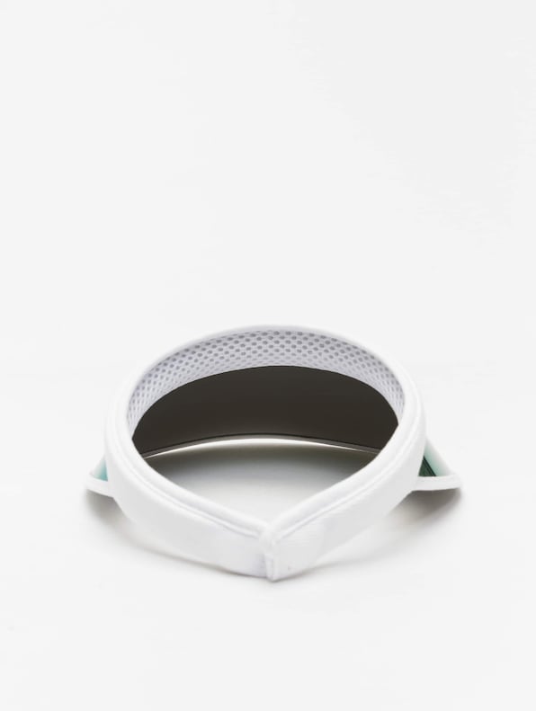 Holographic Visor-2