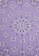  Satin 2-Pack -3