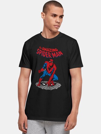 Marvel Universe - The Amazing Spider-Man Basic