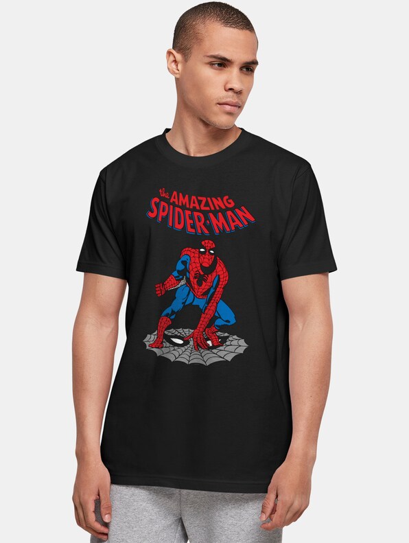 Marvel Universe - The Amazing Spider-Man Basic-0