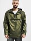 olive_8540