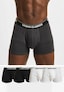 grey_95582