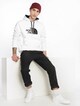 The North Face Drew Peak Hoodie-3