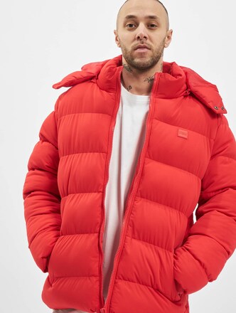 Hooded Boxy Puffer