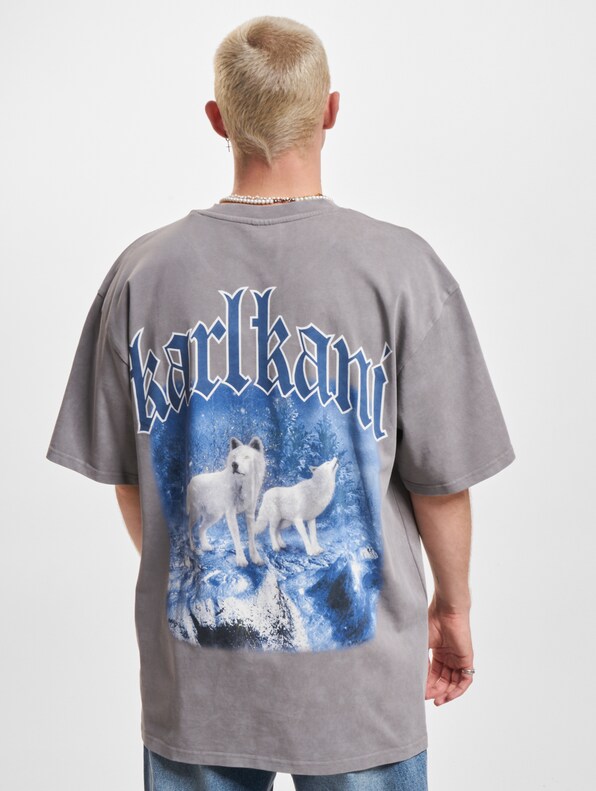 Small Signature Washed Heavy Jersey Wolf-2