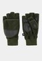 olive_37829