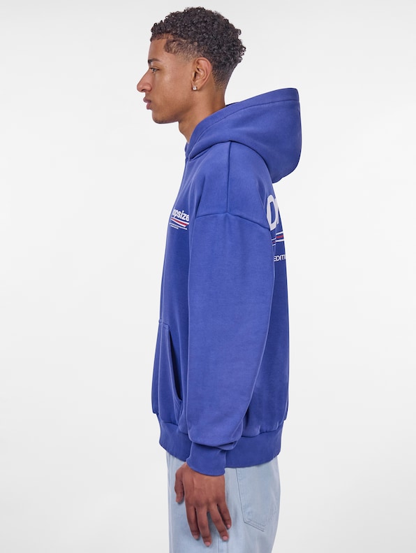 Dropsize Heavy Oversize Copyright Hoodies-2