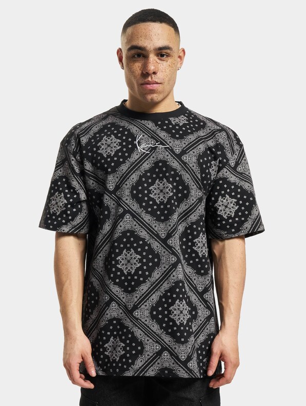 Small Signature Paisley -2