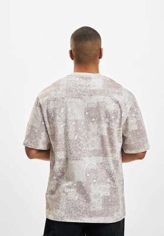 Small Signature Paisley