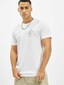 white_16795