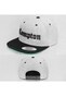 grey_17079